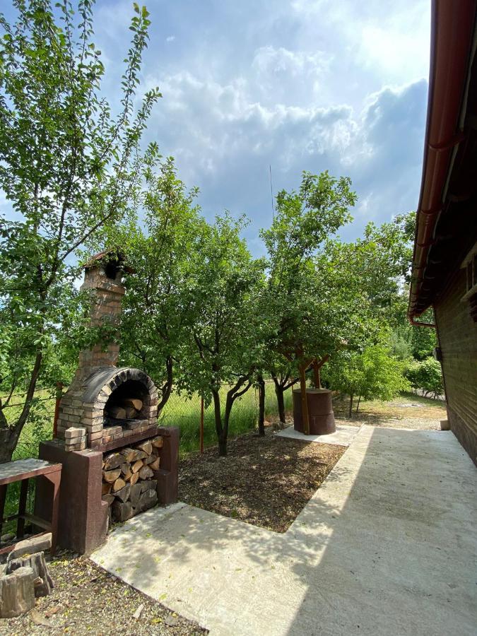 Ab'S Rustic Cabin Dejani Екстер'єр фото